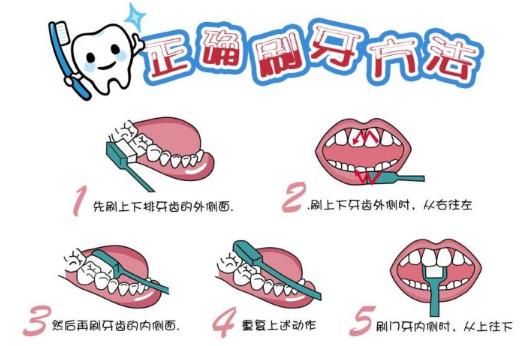 刷牙前用牙刷沾水？教你正确刷牙方法(图2)