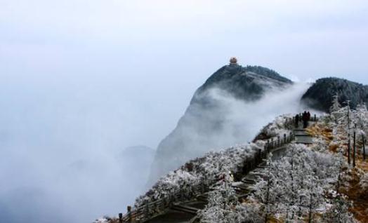 哪些人不适合到高海拔地区旅游？(图1)